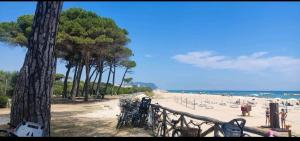 Appartamento con 2 Camere da Letto