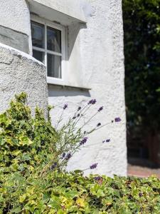 Charming Cornwall Cottage