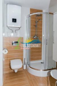 Apartamenty blisko plaży BLUE MARE basen parking grill