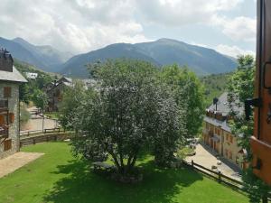 Chimenea y espacio para todos, ideal para famílias - Isard 2