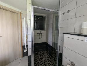 Appartements Joli gite proche Strasbourg : photos des chambres