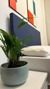 Aconchegante Apê no Centro de BH