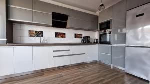 Sibiu Penthouse Mountain View