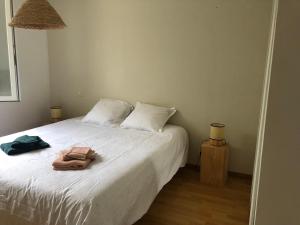 Agréable maison avec piscine