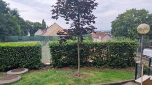 Appartement lumineux en duplex avec terrasse et jardin