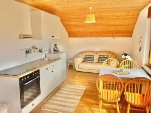 ZenHouseApartment - Gornji Grad