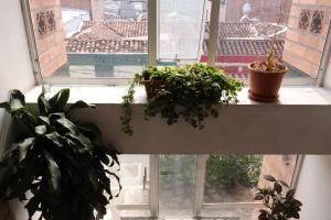 Living Poblado Manila 3028 Habitación Doble