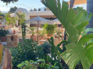 New renovated Marbella Mija House - Puerto Banus quiet and green oasis