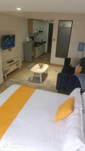 Executive Studio Apartment in Kilimani, Nairobi