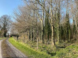 4 bedroom, 8 single beds, with free parking & wifi near new walkway