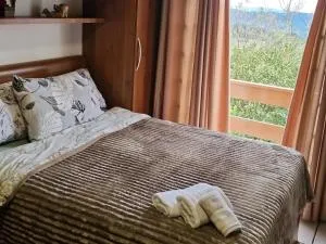 Suíte na Montanha - 新韦内扎