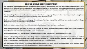 Bronze Small Single room in The Richmoor Hotel