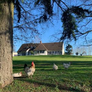 Domaine de La Charmille