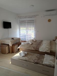 Studio Dimitrije 14
