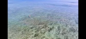 1 King-size bedroom villa with pool & ocean view - 瑟克通