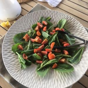 1 King-size bedroom villa with pool & ocean view