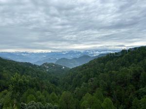 Hotel Pines And Peeks By Tws Hotels