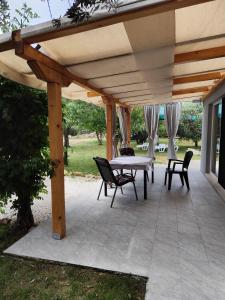 Marti's house in the olive grove 