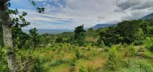 Garusinha Hotel - Kuda Oya