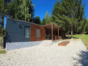 Modular Cuib de Vultur - 波卢巴库苏斯