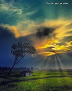 Chanaka hotel - 阿鲁甘湾