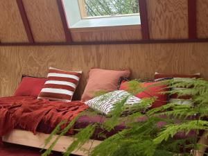 B&B / Chambres d'hotes micro palaces : photos des chambres