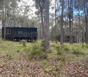 Balingup TimberTop Cottages