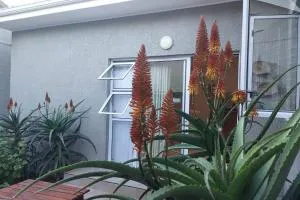 Lourie garden cottage - Springfield