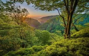 Modern villa med spa och pool - Billinge