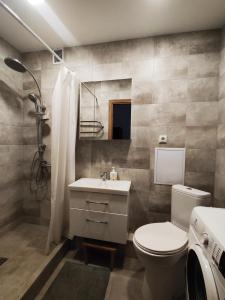 Cozy Studio Apartment in the City Center