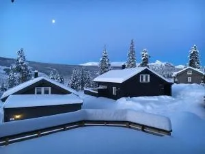 Modern cabin, great view, sunny, 2BA, 4BR - 马格尼顿