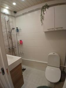 Lapland winter house