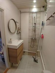 Lapland winter house