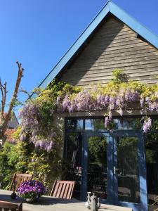 Vakantiewoning De Lotus