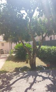 Afrodite Apartment Sabaudia