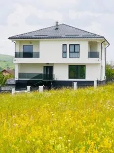 Vila Bio Green - Săliştea Veche