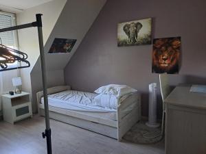 Maisons de vacances Villa individuelle 5 mn Lille centre Chr/eurasante : photos des chambres