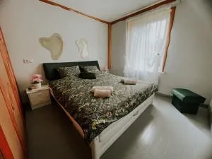 Family or Group Apartment in Talsi Center - Valdemārpils