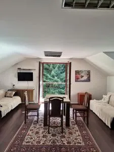 Petrović II 300 metara od Gondole - Vlajkovci