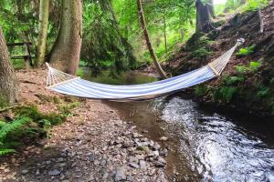 Off-Grid Cottage near river and forest!