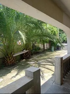 Palma Hostel - Ardeşen