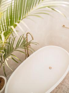 New Luxury Tropical Villa Canggu