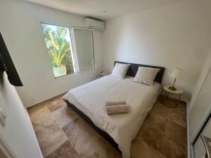 Entre les citronniers et la mer