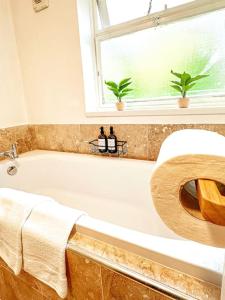 Oasis split level flat in Zone 1