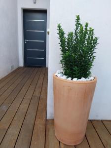 Appartements Studio Cocon Enea Bidart, terrasse et parking : photos des chambres