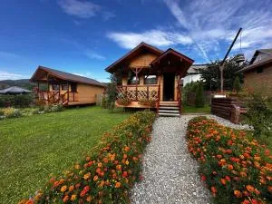 Baltina Parc Transfagarasan - 科尔贝尼