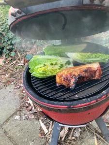 Rode Bell Achter Duin