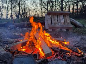 Rode Bell Achter Duin