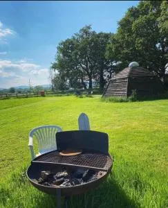 Daisy meadow - Earls Croome