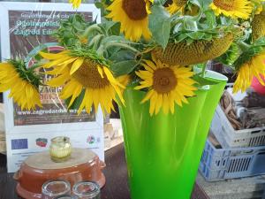 Agroturystyka Janiczek Tuchów